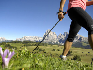 nordic_walking_mountain